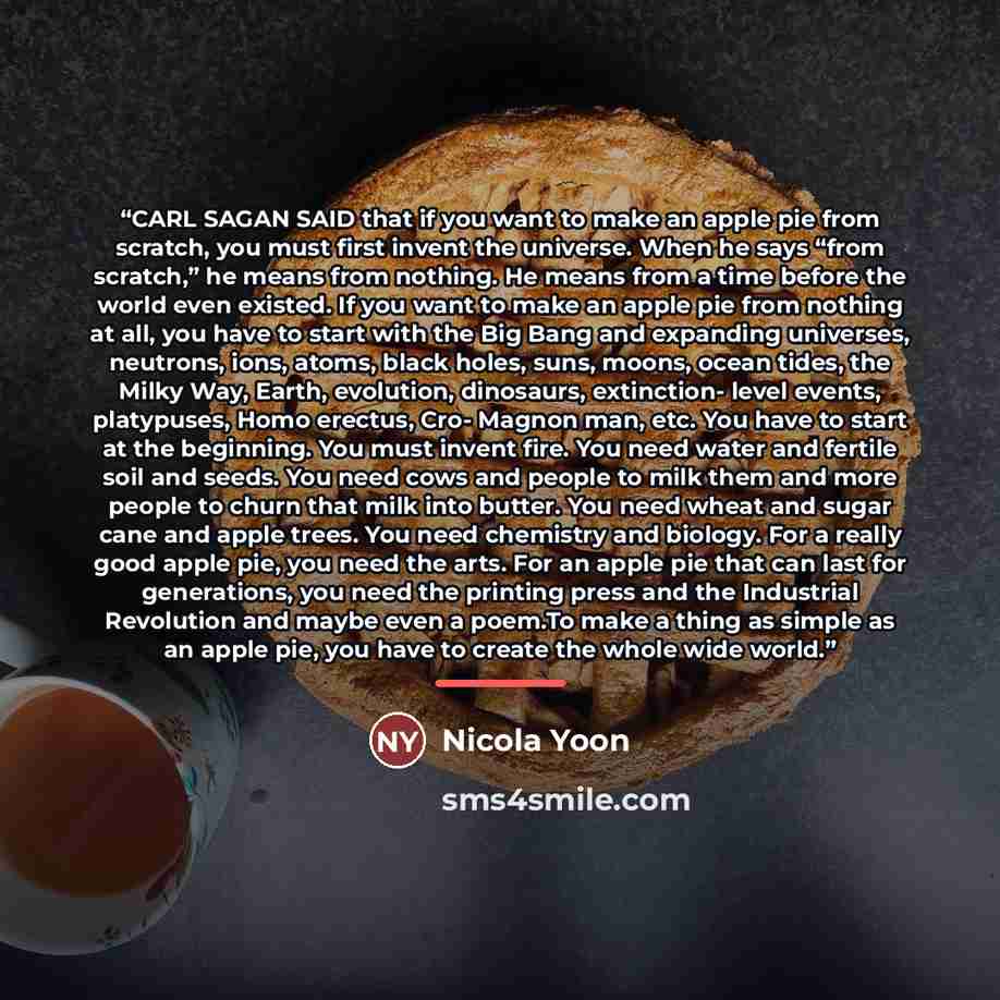 “CARL SAGAN SAID that if you want to make an apple pie from scratch, you must first invent the universe. When he says “from scratch,” he means from nothing. He means from a time before the world even existed. If you want to make an apple pie from nothing at all, you have to start with the Big Bang…” quote by Nicola Yoon