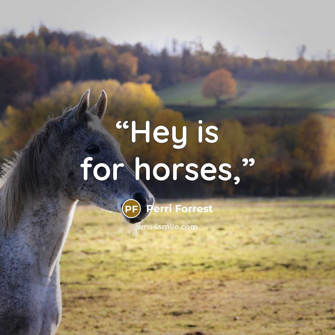 “Hey is for horses,” quote by Perri Forrest