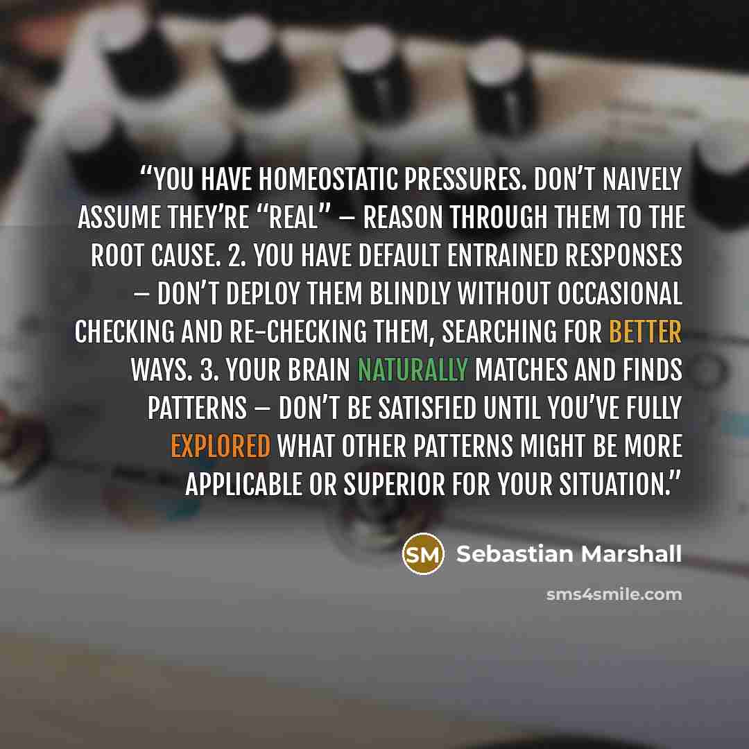 “You have homeostatic pressures. Don’t naively assume they’re “real” – reason through them to the root cause. 2. You have default entrained responses – don’t deploy them blindly without occasional checking and re-checking them, searching for better ways. 3. Your brain naturally matches and finds…” quote by Sebastian Marshall