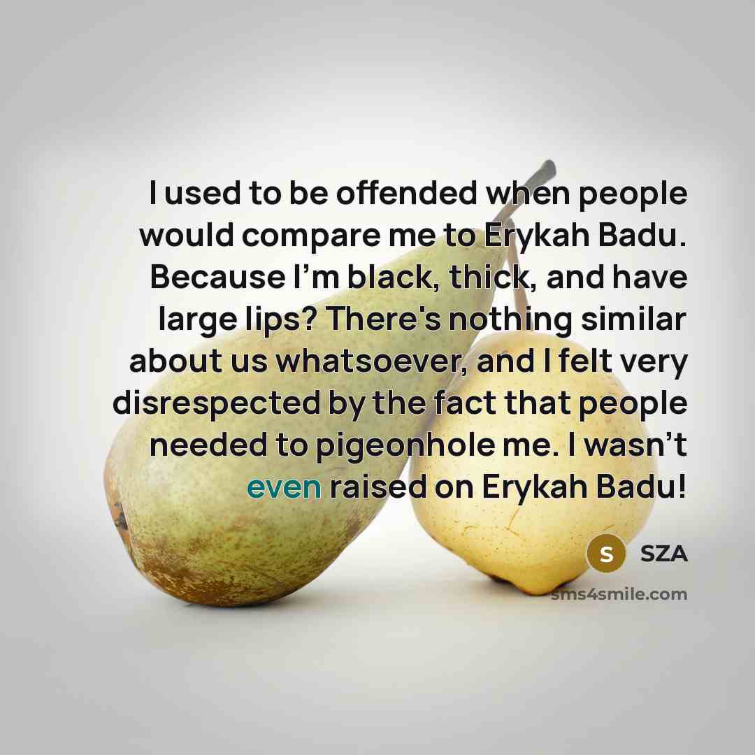 “I used to be offended when people would compare me to Erykah Badu. Because I'm black, thick, and have large lips? There's nothing similar about us whatsoever, and I felt very disrespected by the fact that people needed to pigeonhole me. I wasn't even raised on Erykah Badu!” quote by SZA