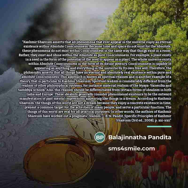 “Kashmir Shaivism asserts that all phenomena that ever appear in the universe enjoy an eternal existence within Absolute Consciousness. Because time and space do not exist for the Absolute, these phenomena do not exist within Consciousness in the same way that things exist in a room. Rather, they…” quote by Balajinnatha Pandita