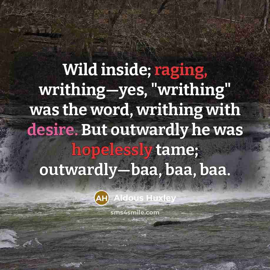 “Wild inside; raging, writhing—yes, "writhing" was the word, writhing with desire. But outwardly he was hopelessly tame; outwardly—baa, baa, baa.” quote by Aldous Huxley