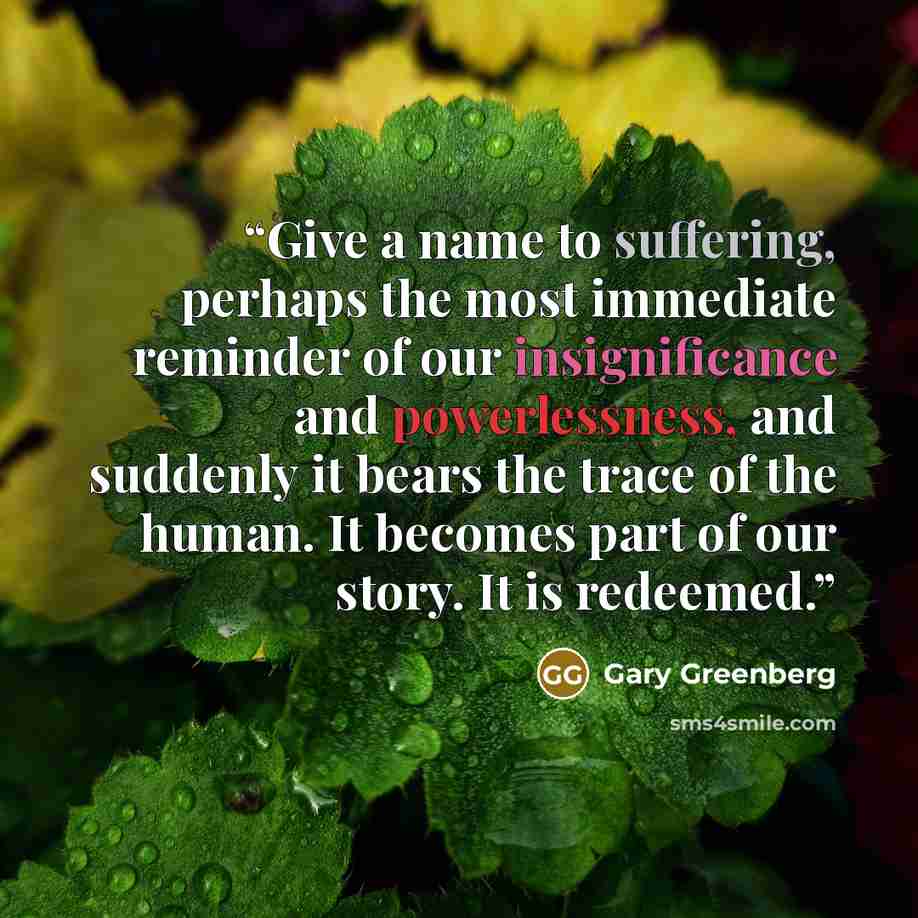 “Give a name to suffering, perhaps the most immediate reminder of our insignificance and powerlessness, and suddenly it bears the trace of the human. It becomes part of our story. It is redeemed.” quote by Gary Greenberg