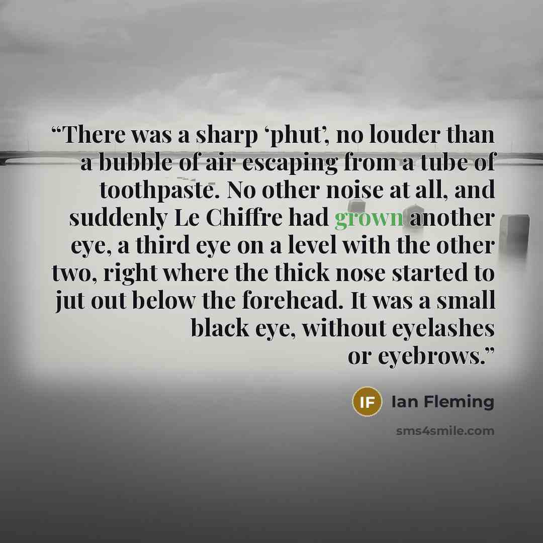 “There was a sharp ‘phut’, no louder than a bubble of air escaping from a tube of toothpaste. No other noise at all, and suddenly Le Chiffre had grown another eye, a third eye on a level with the other two, right where the thick nose started to jut out below the forehead. It was a small black eye…” quote by Ian Fleming