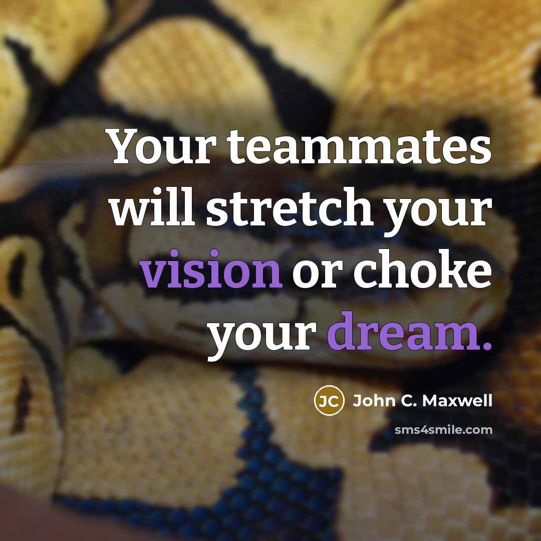 “Your teammates will stretch your vision or choke your dream.” quote by John C. Maxwell