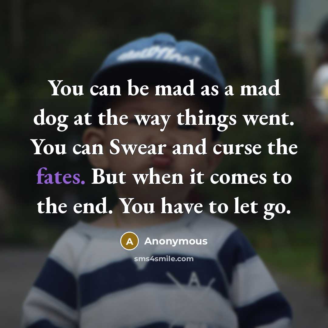 “You can be mad as a mad dog at the way things went. You can Swear and curse the fates. But when it comes to the end. You have to let go.” quote by Anonymous