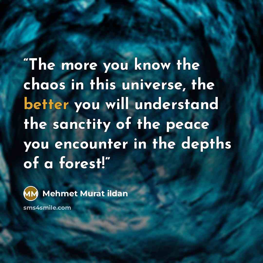 “The more you know the chaos in this universe, the better you will understand the sanctity of the peace you encounter in the depths of a forest!” quote by Mehmet Murat ildan