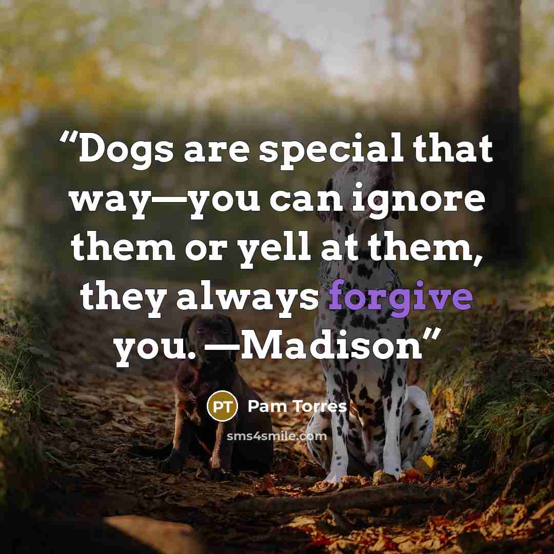 “Dogs are special that way—you can ignore them or yell at them, they always forgive you. —Madison” quote by Pam Torres