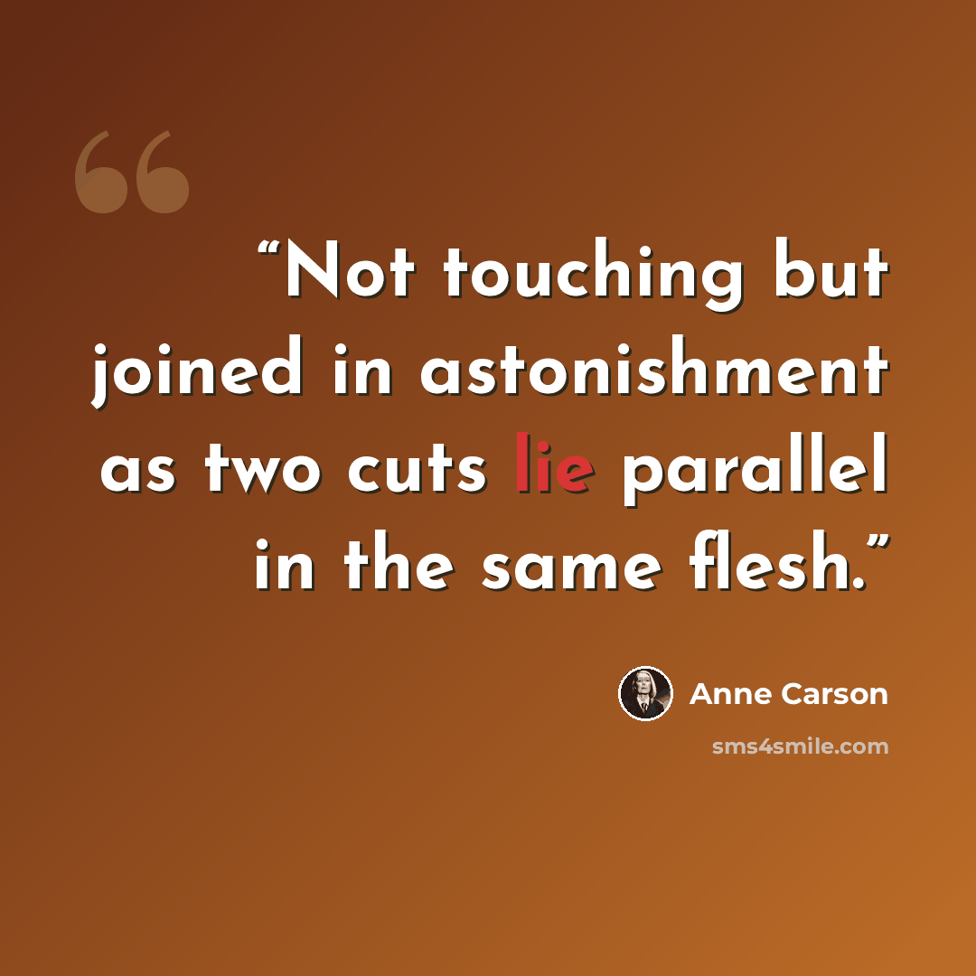 “Not touching but joined in astonishment as two cuts lie parallel in the same flesh.” quote by Anne Carson