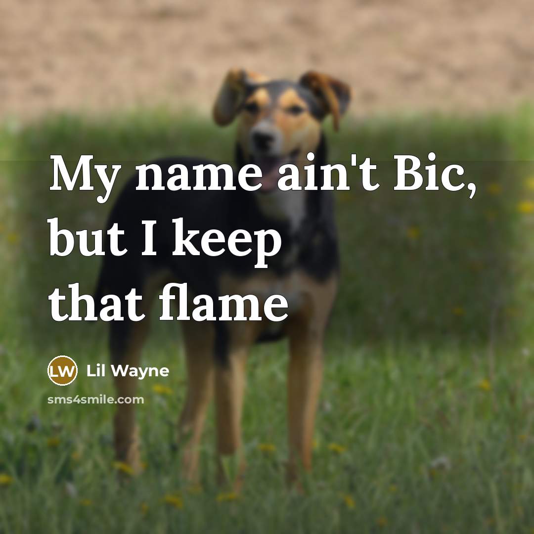 “My name ain't Bic, but I keep that flame” quote by Lil Wayne