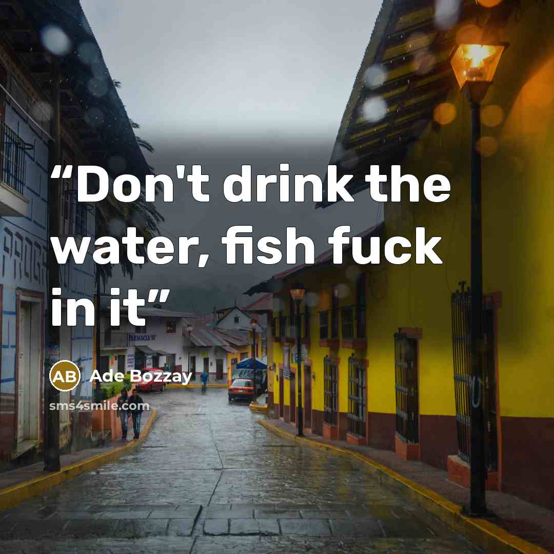 “Don't drink the water, fish fuck in it” quote by Ade Bozzay