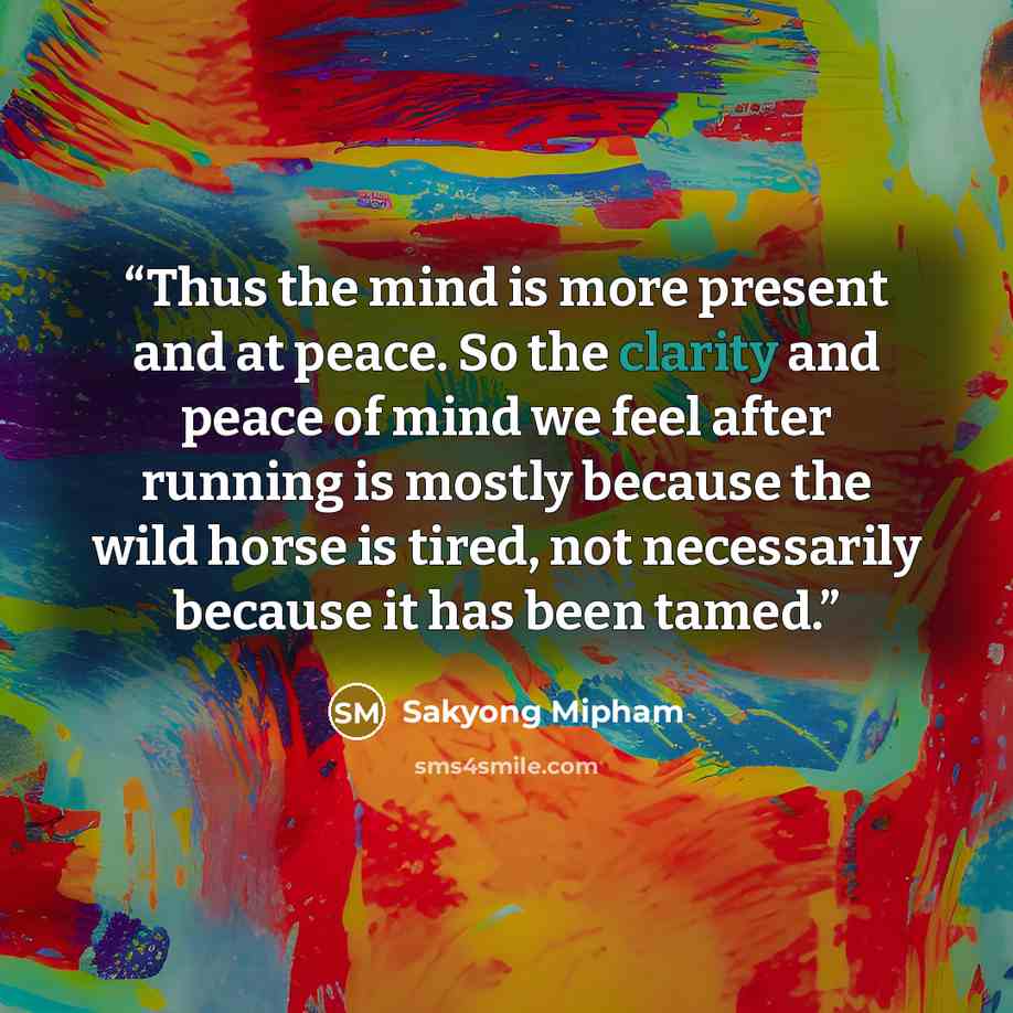 “Thus the mind is more present and at peace. So the clarity and peace of mind we feel after running is mostly because the wild horse is tired, not necessarily because it has been tamed.” quote by Sakyong Mipham