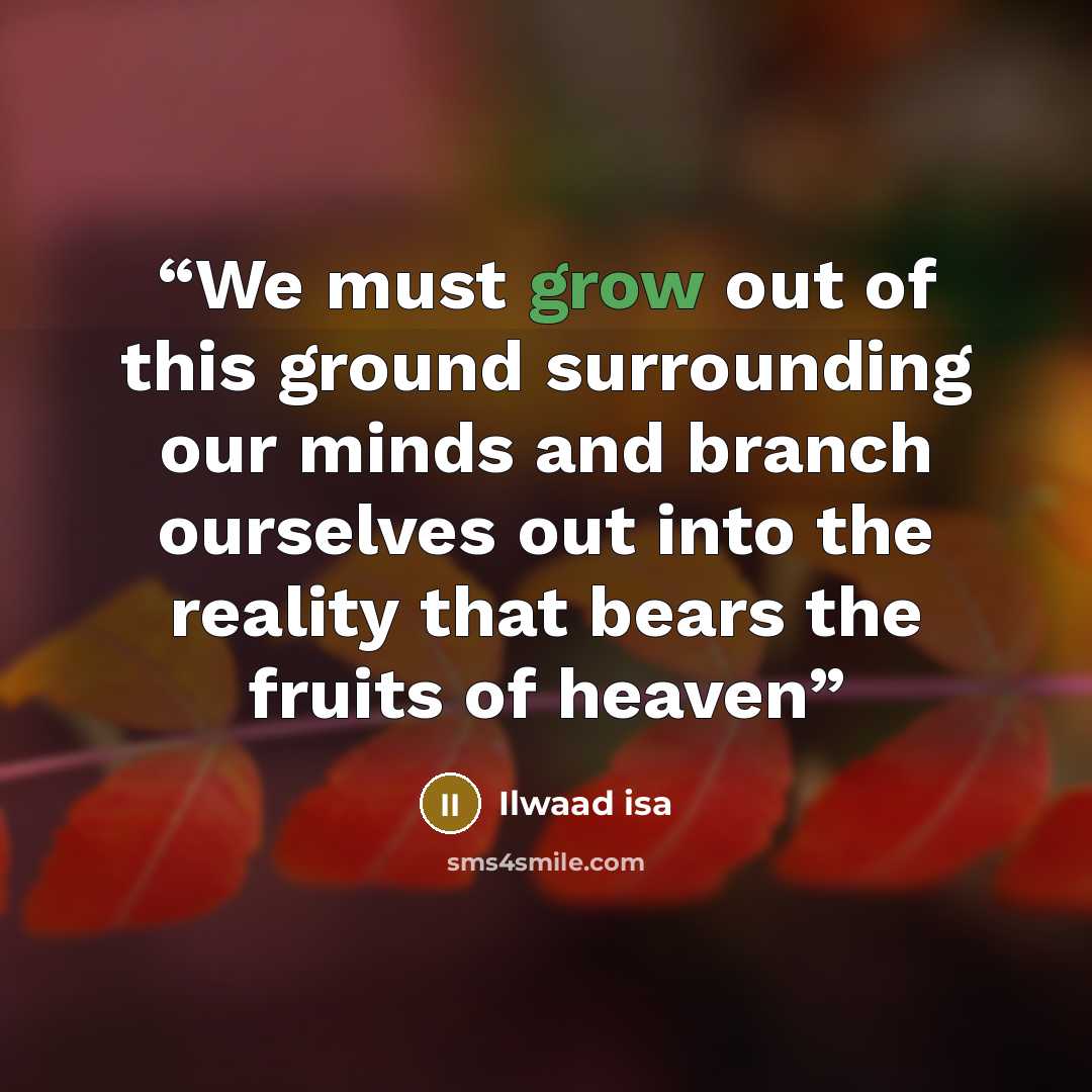 “We must grow out of this ground surrounding our minds and branch ourselves out into the reality that bears the fruits of heaven” quote by Ilwaad Isa