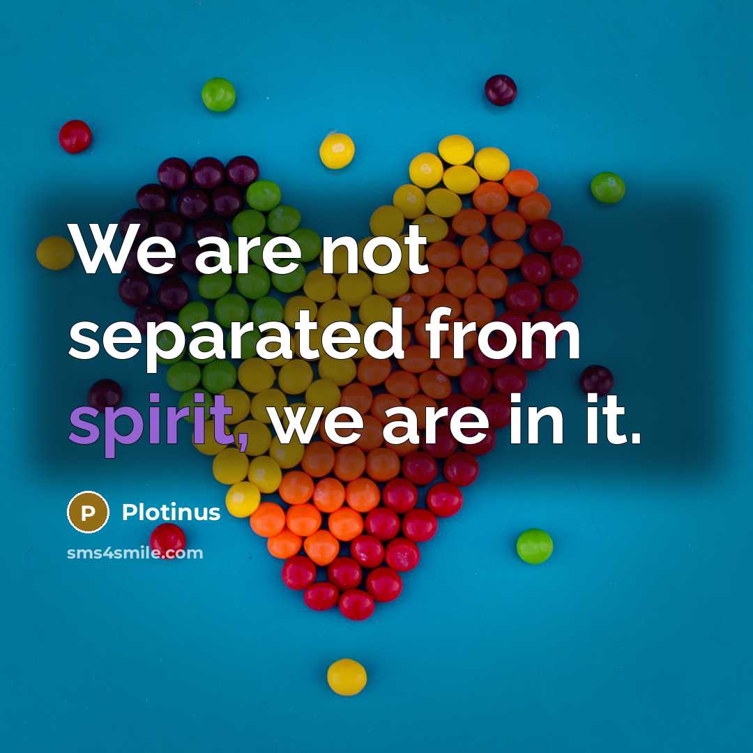 “We are not separated from spirit, we are in it.” quote by Plotinus