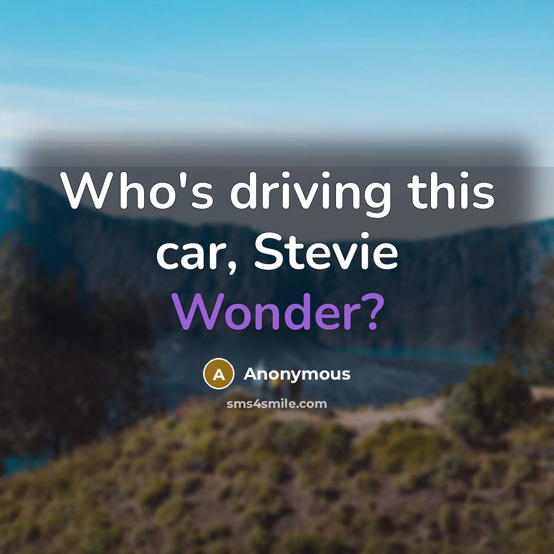 “Who's driving this car, Stevie Wonder?” quote by Anonymous