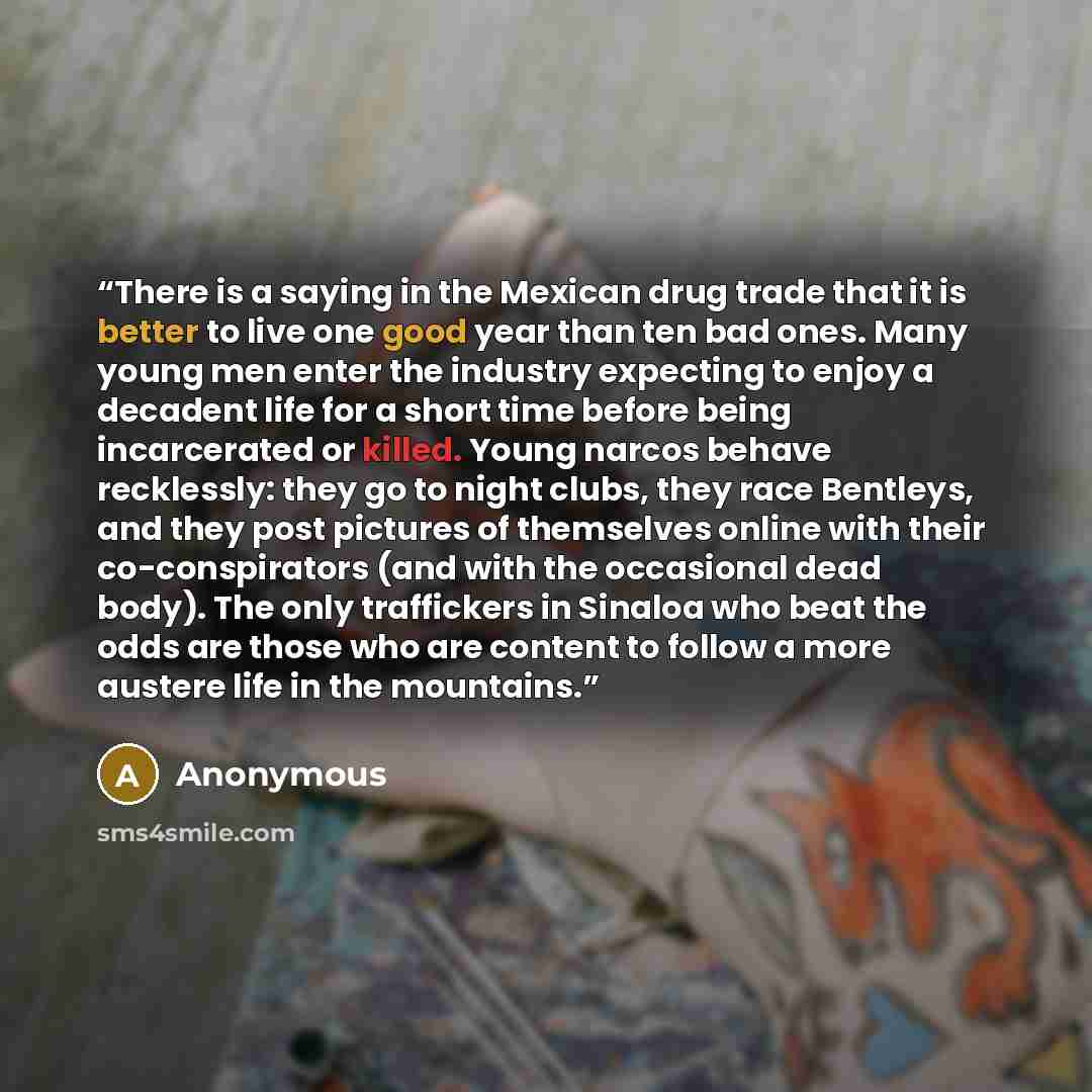 “There is a saying in the Mexican drug trade that it is better to live one good year than ten bad ones. Many young men enter the industry expecting to enjoy a decadent life for a short time before being incarcerated or killed. Young narcos behave recklessly: they go to night clubs, they race…” quote by Anonymous
