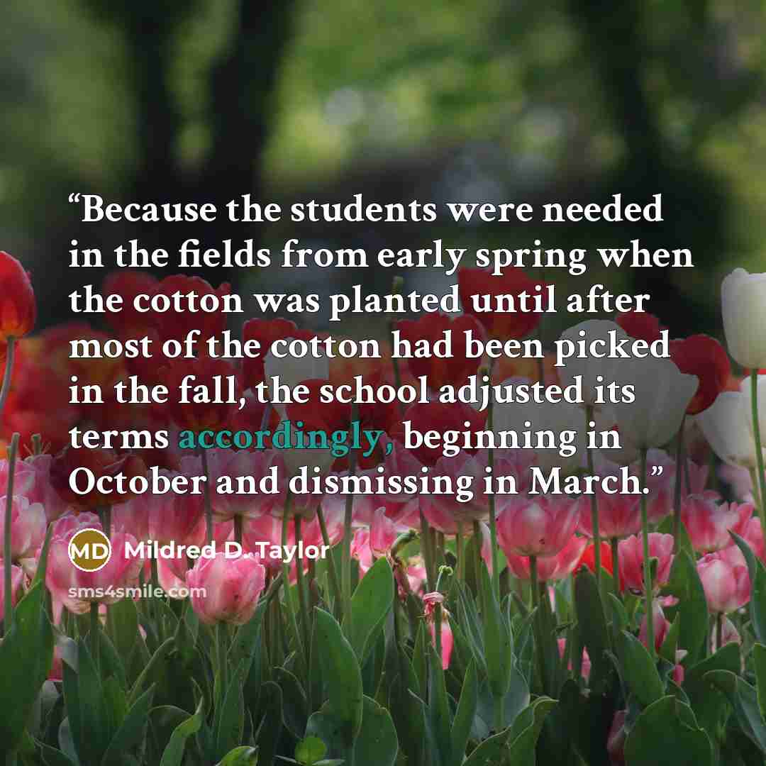 “Because the students were needed in the fields from early spring when the cotton was planted until after most of the cotton had been picked in the fall, the school adjusted its terms accordingly, beginning in October and dismissing in March.” quote by Mildred D. Taylor