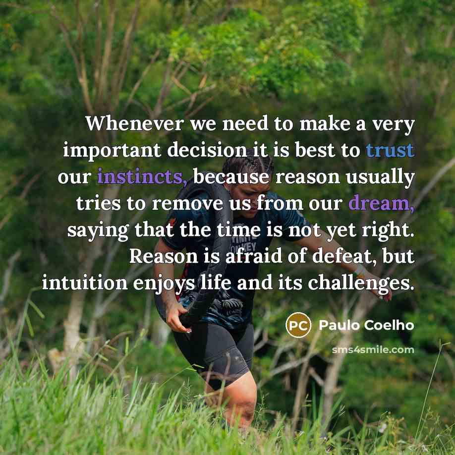 “Whenever we need to make a very important decision it is best to trust our instincts, because reason usually tries to remove us from our dream, saying that the time is not yet right. Reason is afraid of defeat, but intuition enjoys life and its challenges.” quote by Paulo Coelho