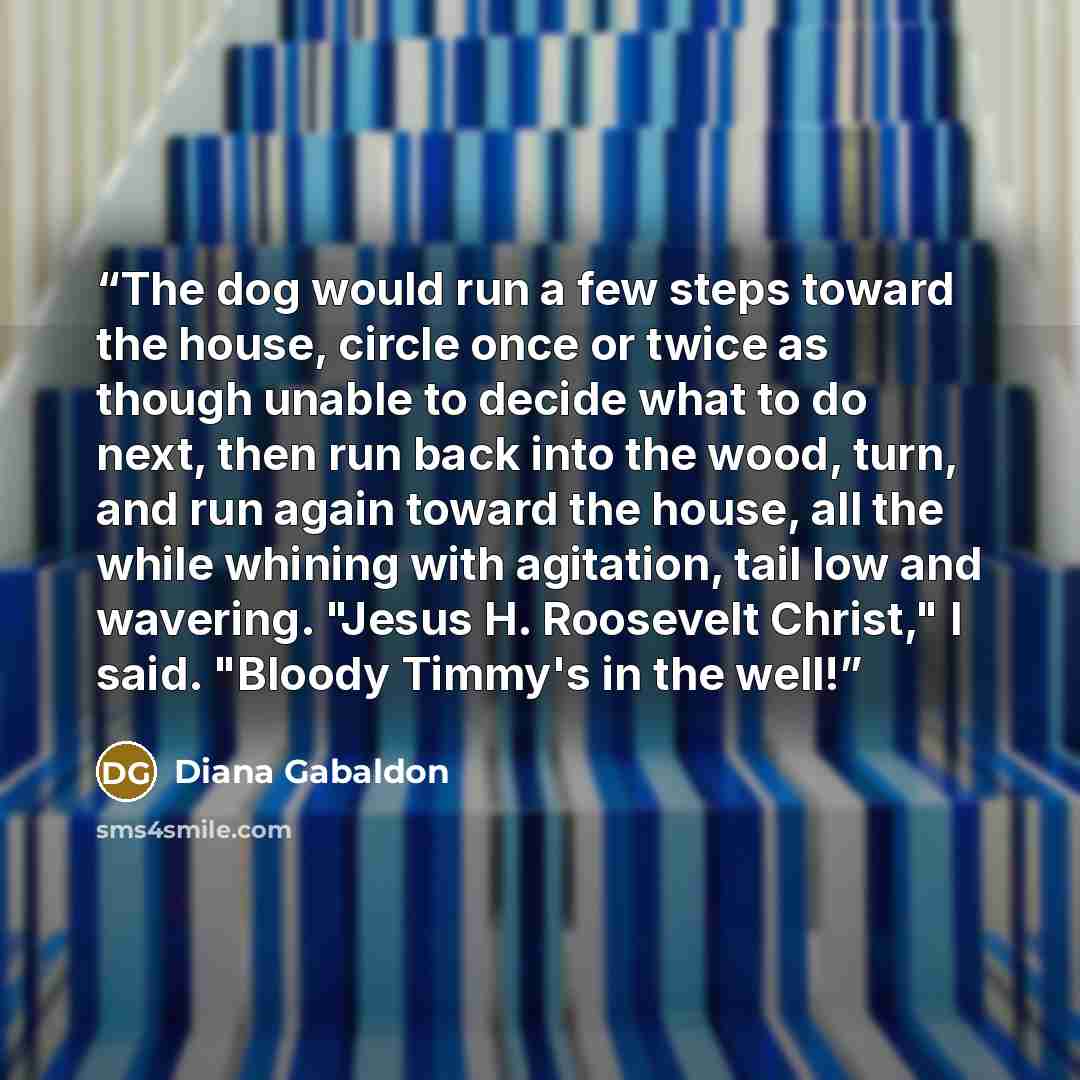 “The dog would run a few steps toward the house, circle once or twice as though unable to decide what to do next, then run back into the wood, turn, and run again toward the house, all the while whining with agitation, tail low and wavering. "Jesus H. Roosevelt Christ," I said. "Bloody Timmy's in…” quote by Diana Gabaldon