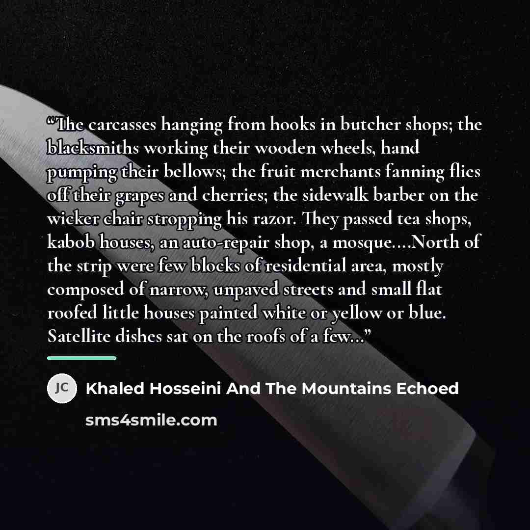 “The carcasses hanging from hooks in butcher shops; the blacksmiths working their wooden wheels, hand pumping their bellows; the fruit merchants fanning flies off their grapes and cherries; the sidewalk barber on the wicker chair stropping his razor. They passed tea shops, kabob houses, an…” quote by Khaled Hosseini And The Mountains Echoed