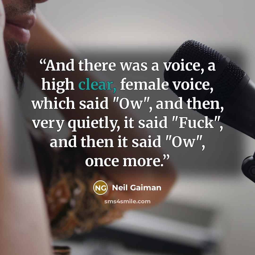 “And there was a voice, a high clear, female voice, which said "Ow", and then, very quietly, it said "Fuck", and then it said "Ow", once more.” quote by Neil Gaiman