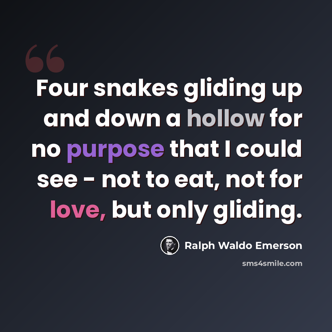 “Four snakes gliding up and down a hollow for no purpose that I could see - not to eat, not for love, but only gliding.” quote by Ralph Waldo Emerson