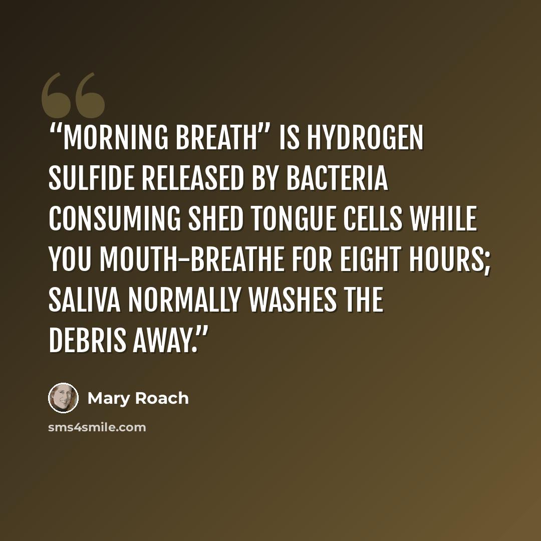 “Morning breath” is hydrogen sulfide released by bacteria consuming shed tongue cells while you mouth-breathe for eight hours; saliva normally washes the debris away.” quote by Mary Roach