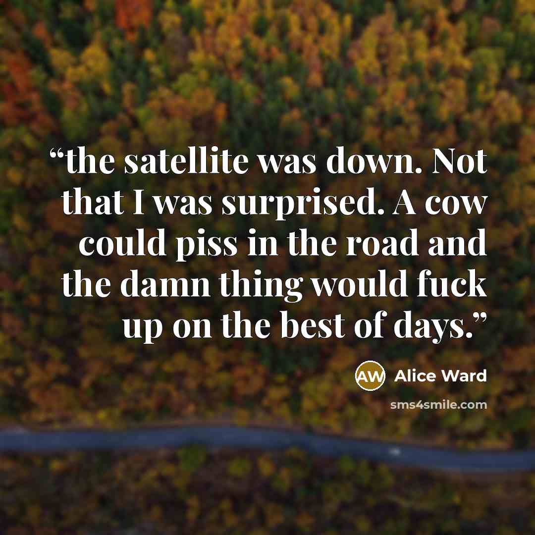 “the satellite was down. Not that I was surprised. A cow could piss in the road and the damn thing would fuck up on the best of days.” quote by Alice Ward