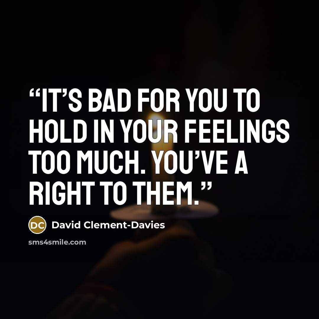 “it’s bad for you to hold in your feelings too much. You’ve a right to them.” quote by David Clement-Davies