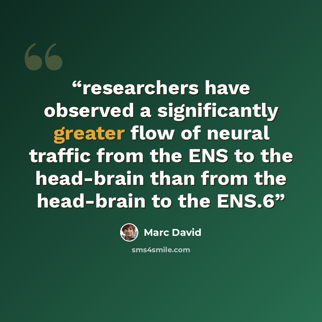 “researchers have observed a significantly greater flow of neural traffic from the ENS to the head-brain than from the head-brain to the ENS.6” quote by Marc David