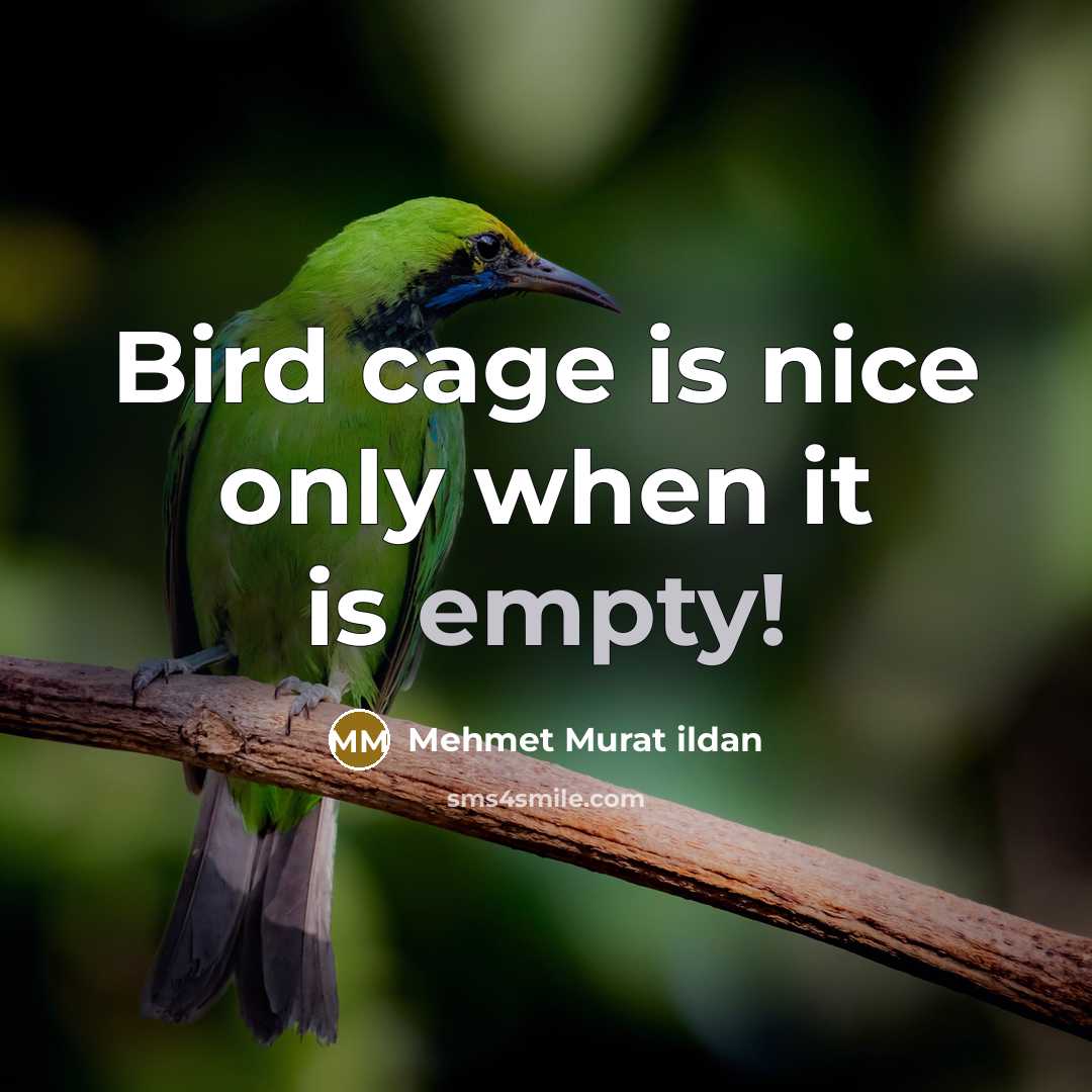 “Bird cage is nice only when it is empty!” quote by Mehmet Murat Ildan