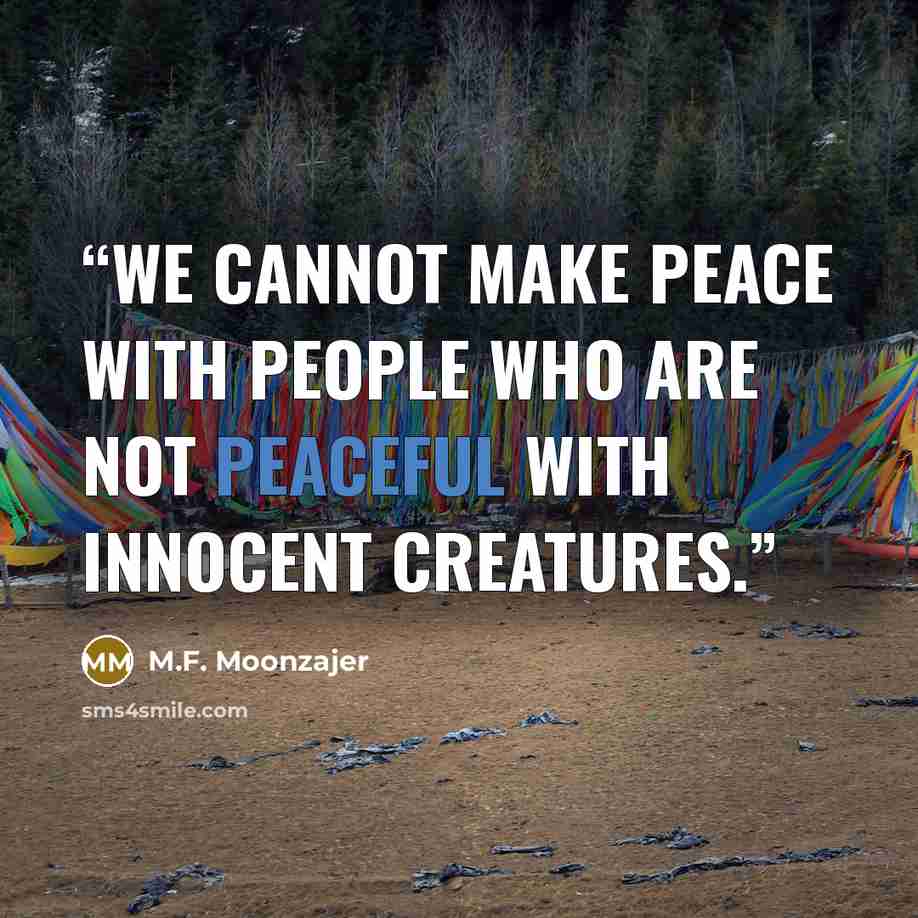 “We cannot make peace with people who are not peaceful with innocent creatures.” quote by M.F. Moonzajer