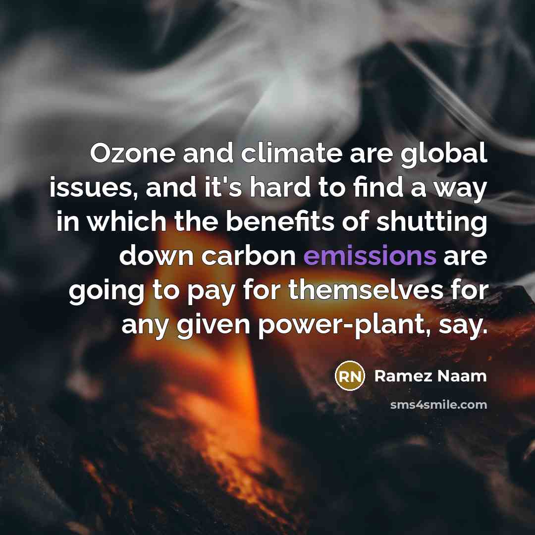“Ozone and climate are global issues, and it's hard to find a way in which the benefits of shutting down carbon emissions are going to pay for themselves for any given power-plant, say.” quote by Ramez Naam