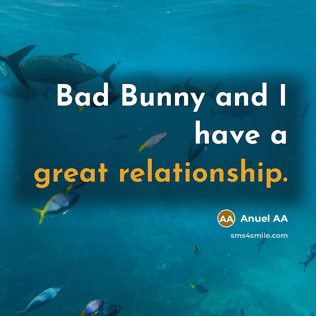 “Bad Bunny and I have a great relationship.” quote by Anuel AA