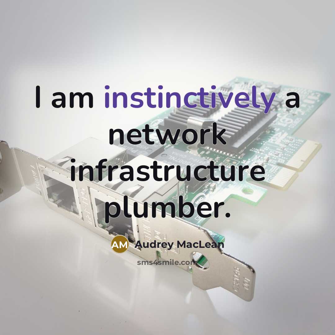 “I am instinctively a network infrastructure plumber.” quote by Audrey MacLean