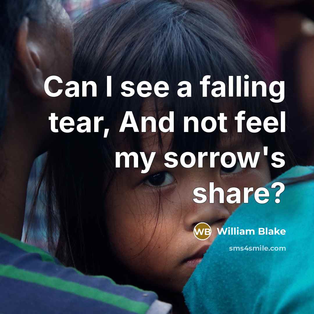 “Can I see a falling tear, And not feel my sorrow's share?” quote by William Blake