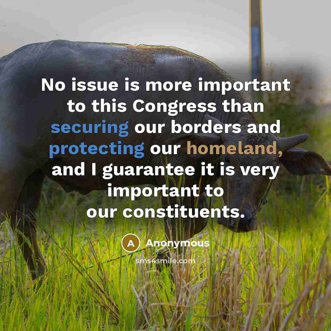 “No issue is more important to this Congress than securing our borders and protecting our homeland, and I guarantee it is very important to our constituents.” quote by Anonymous