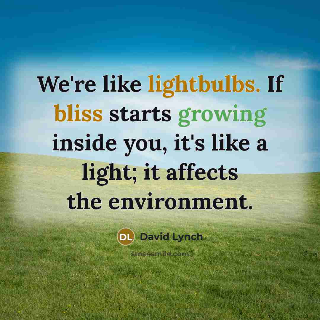 “We're like lightbulbs. If bliss starts growing inside you, it's like a light; it affects the environment.” quote by David Lynch