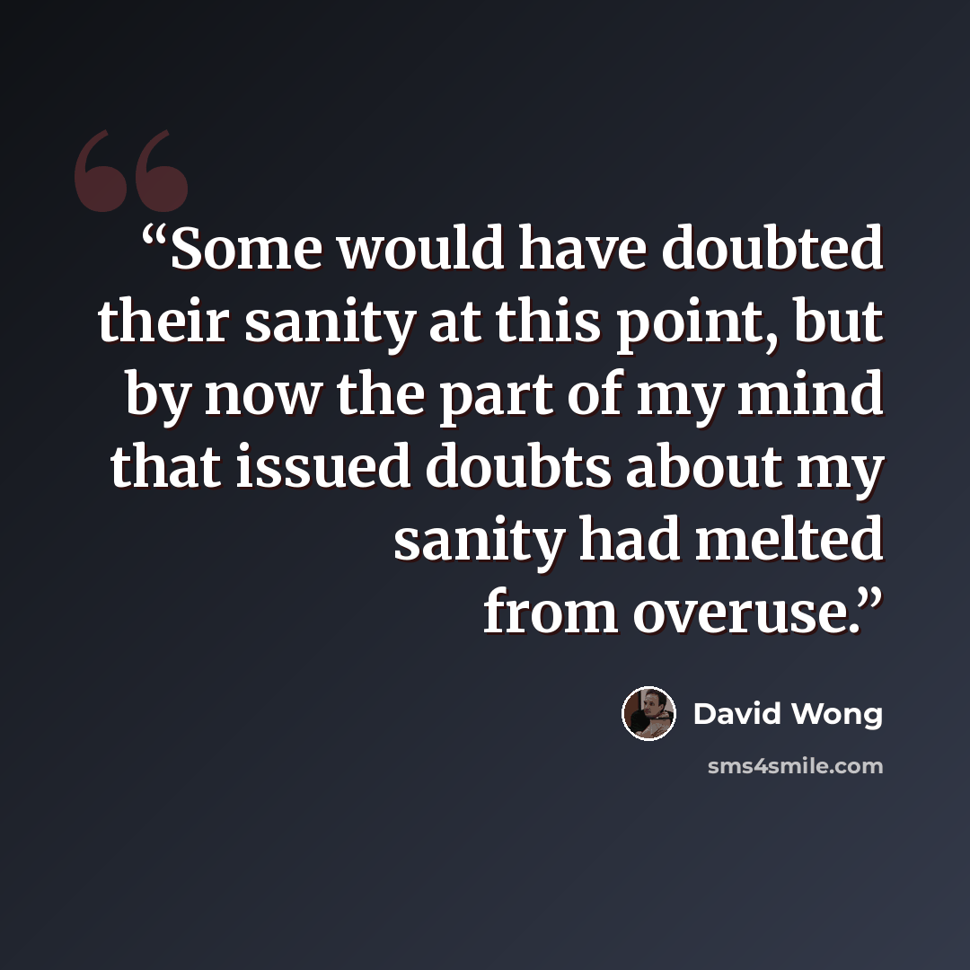 “Some would have doubted their sanity at this point, but by now the part of my mind that issued doubts about my sanity had melted from overuse.” quote by David Wong