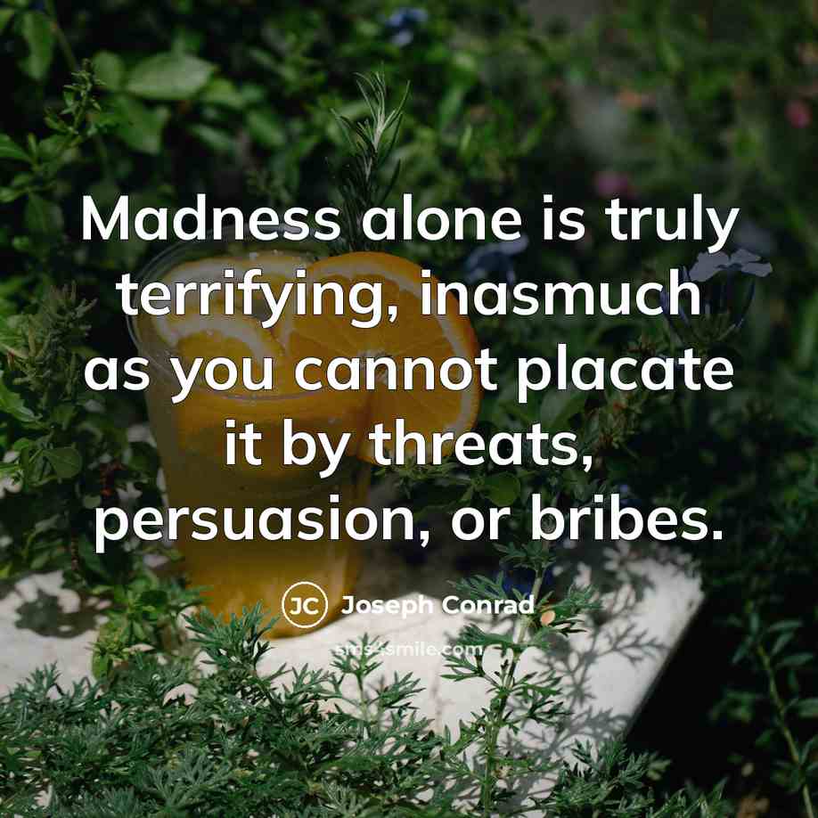 “Madness alone is truly terrifying, inasmuch as you cannot placate it by threats, persuasion, or bribes.” quote by Joseph Conrad