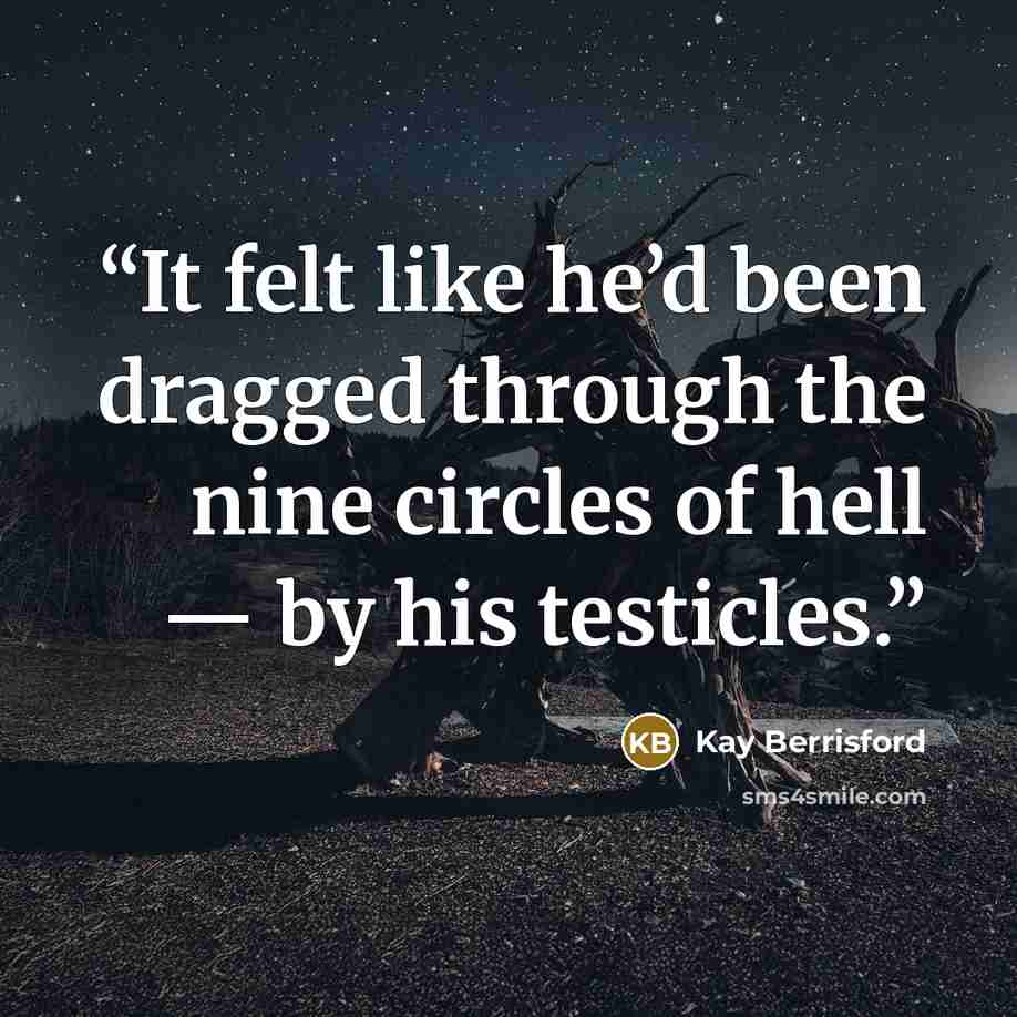 “It felt like he’d been dragged through the nine circles of hell — by his testicles.” quote by Kay Berrisford