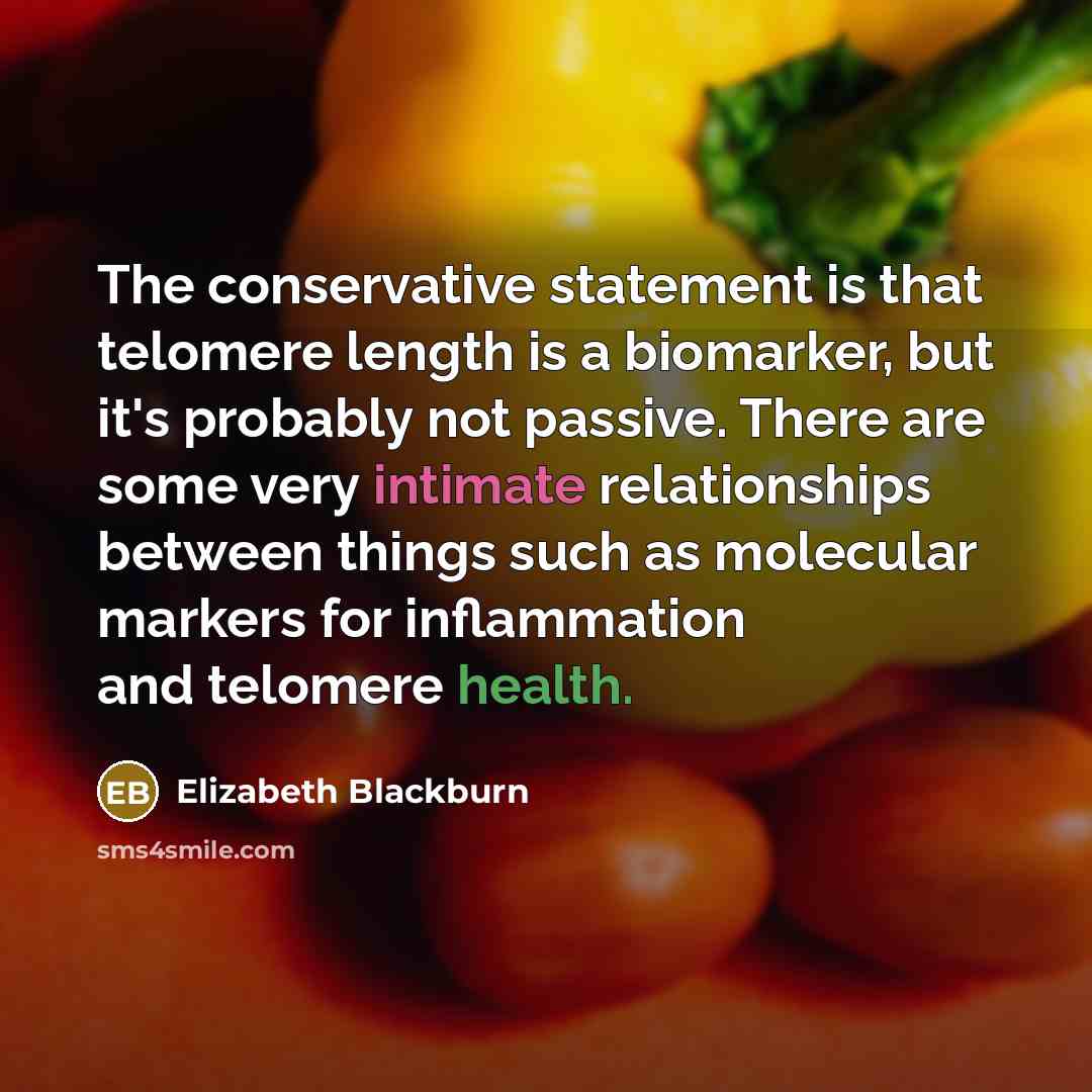 “The conservative statement is that telomere length is a biomarker, but it's probably not passive. There are some very intimate relationships between things such as molecular markers for inflammation and telomere health.” quote by Elizabeth Blackburn