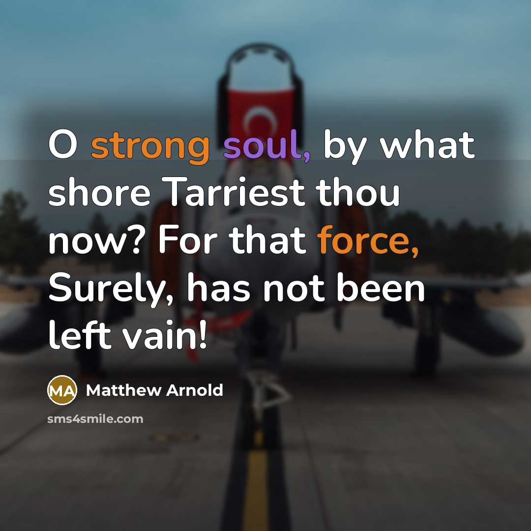 “O strong soul, by what shore Tarriest thou now? For that force, Surely, has not been left vain!” quote by Matthew Arnold