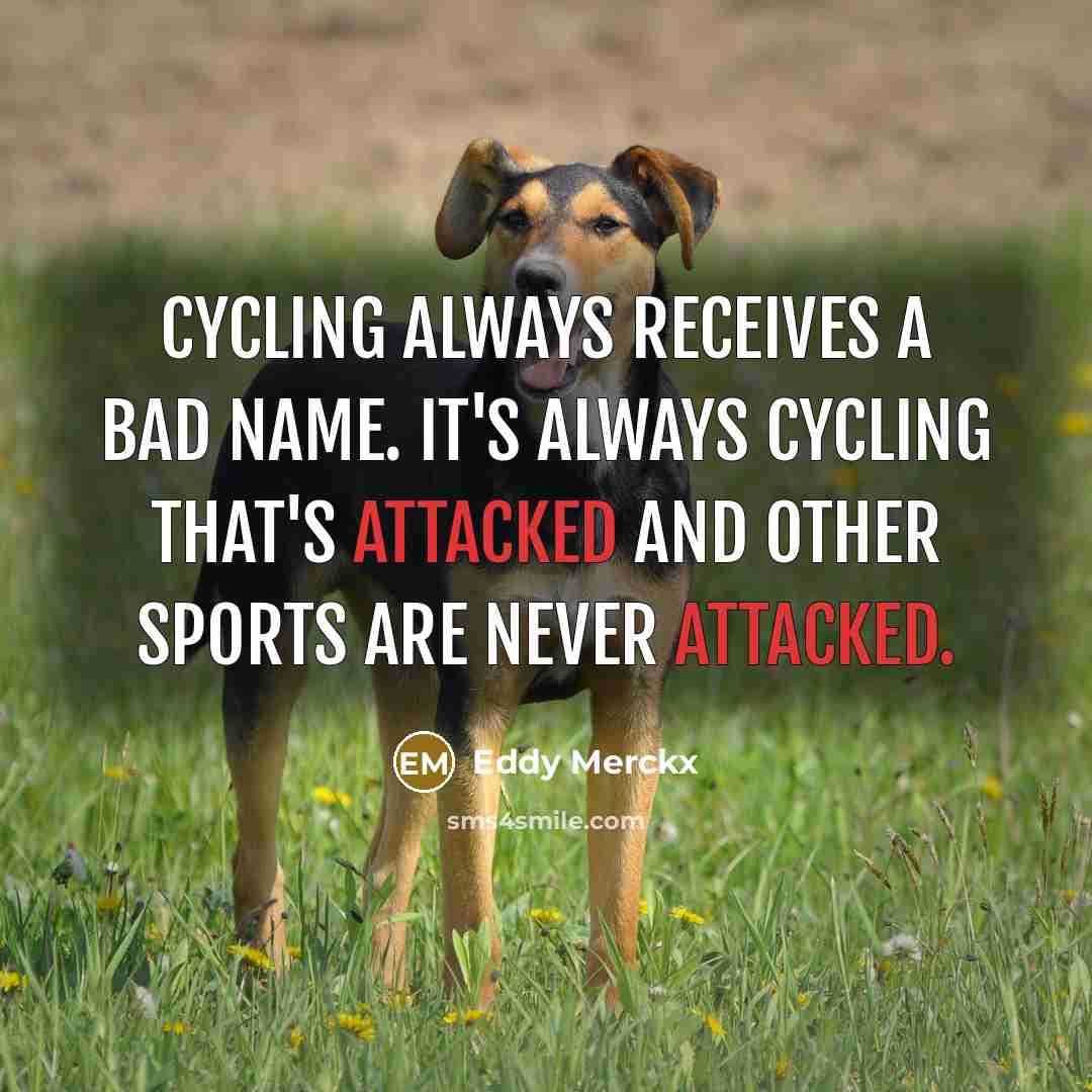 “Cycling always receives a bad name. It's always cycling that's attacked and other sports are never attacked.” quote by Eddy Merckx