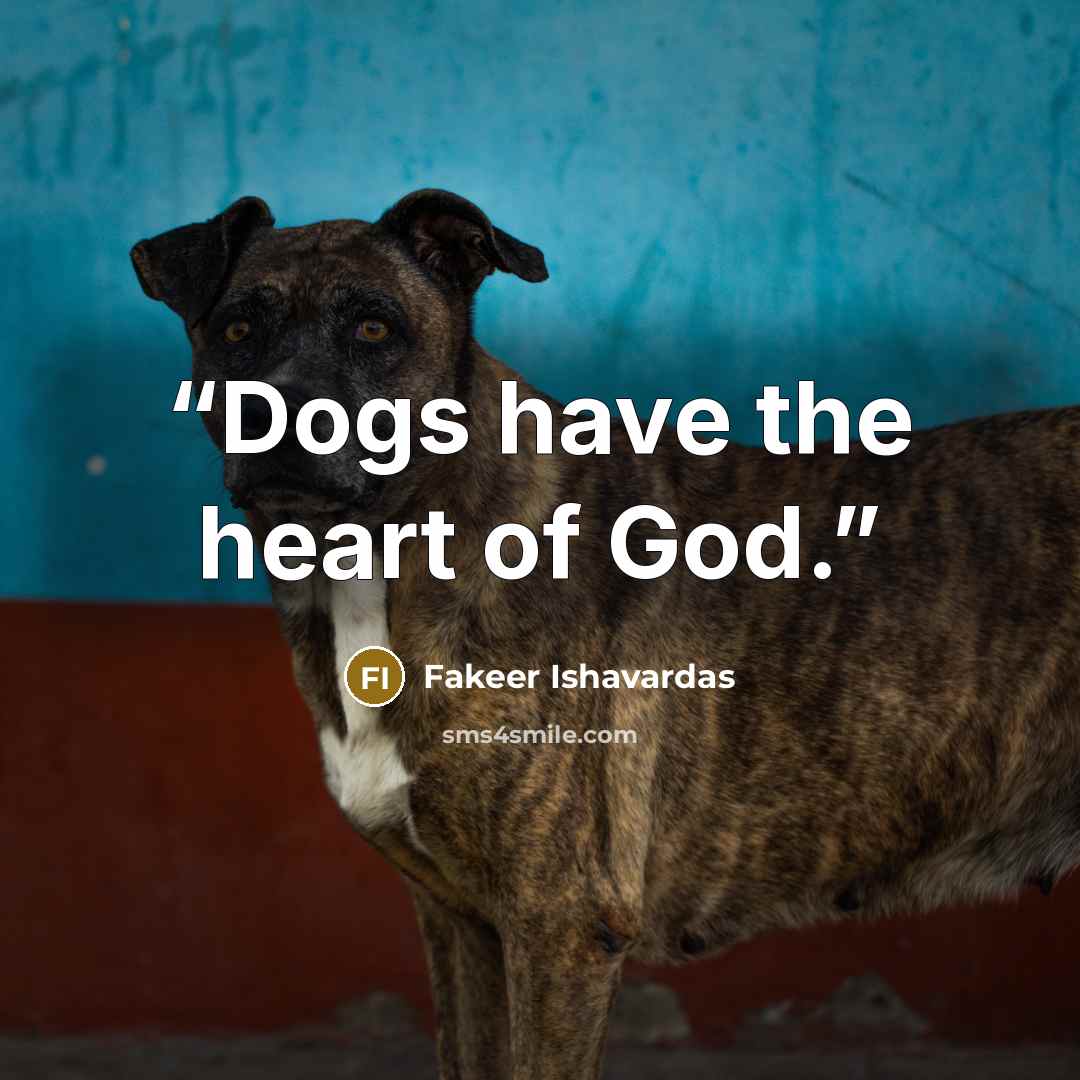 “Dogs have the heart of God.” quote by Fakeer Ishavardas