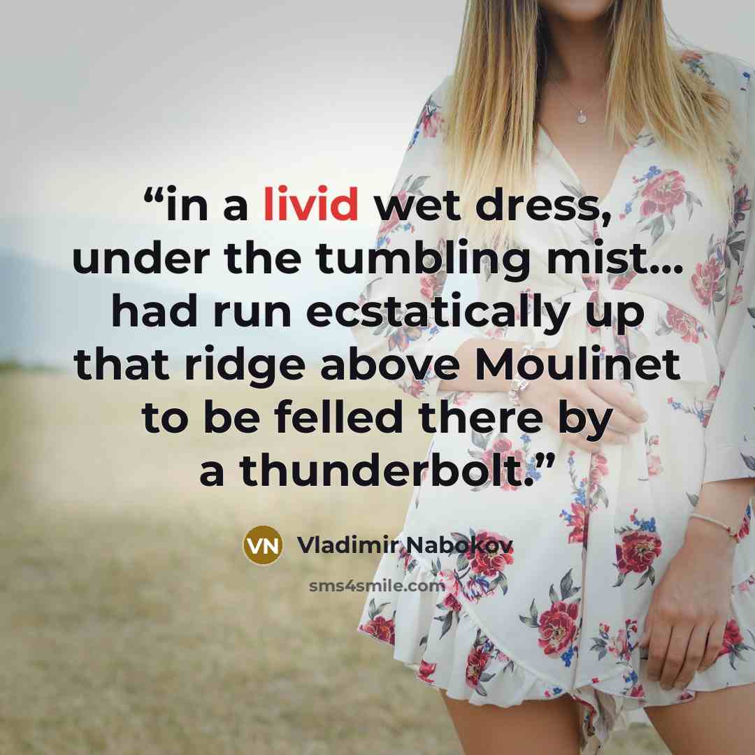 “in a livid wet dress, under the tumbling mist... had run ecstatically up that ridge above Moulinet to be felled there by a thunderbolt.” quote by Vladimir Nabokov