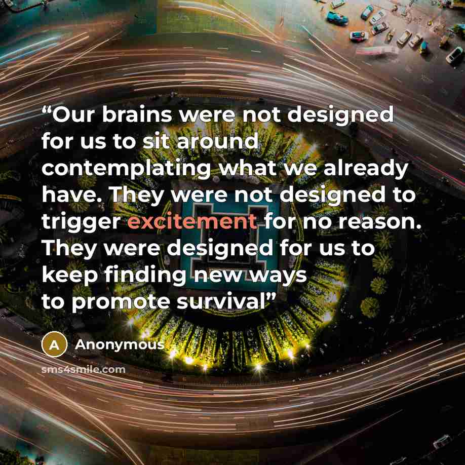 “Our brains were not designed for us to sit around contemplating what we already have. They were not designed to trigger excitement for no reason. They were designed for us to keep finding new ways to promote survival” quote by Anonymous