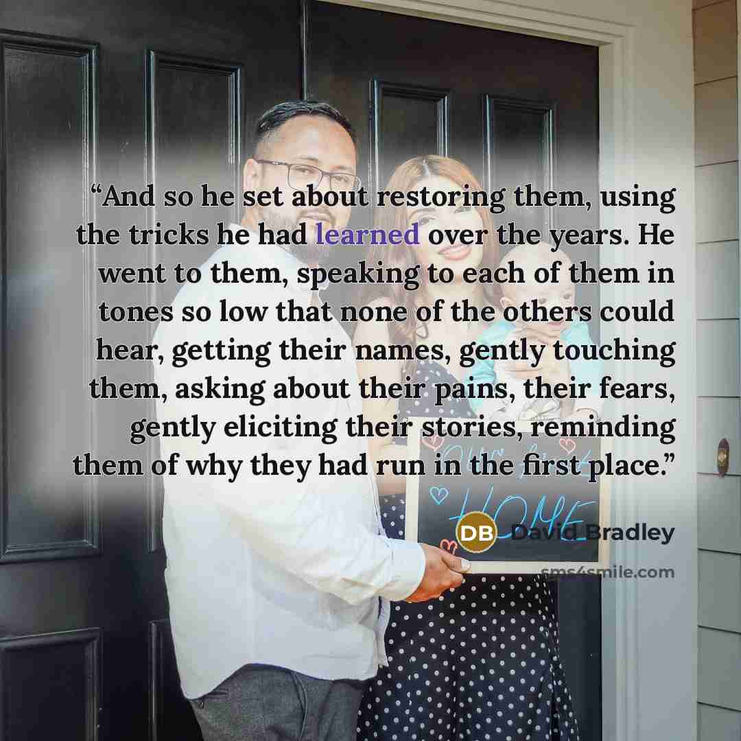 “And so he set about restoring them, using the tricks he had learned over the years. He went to them, speaking to each of them in tones so low that none of the others could hear, getting their names, gently touching them, asking about their pains, their fears, gently eliciting their stories…” quote by David Bradley