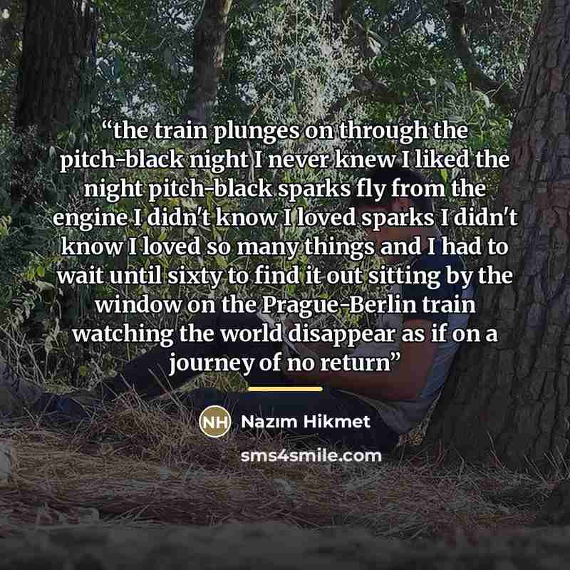 “the train plunges on through the pitch-black night I never knew I liked the night pitch-black sparks fly from the engine I didn't know I loved sparks I didn't know I loved so many things and I had to wait until sixty to find it out sitting by the window on the Prague-Berlin train watching the…” quote by Nazim Hikmet