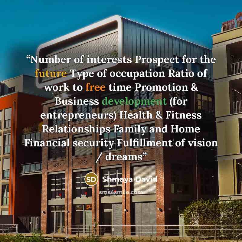 “Number of interests Prospect for the future Type of occupation Ratio of work to free time Promotion & Business development (for entrepreneurs) Health & Fitness Relationships Family and Home Financial security Fulfillment of vision / dreams” quote by Shmaya David
